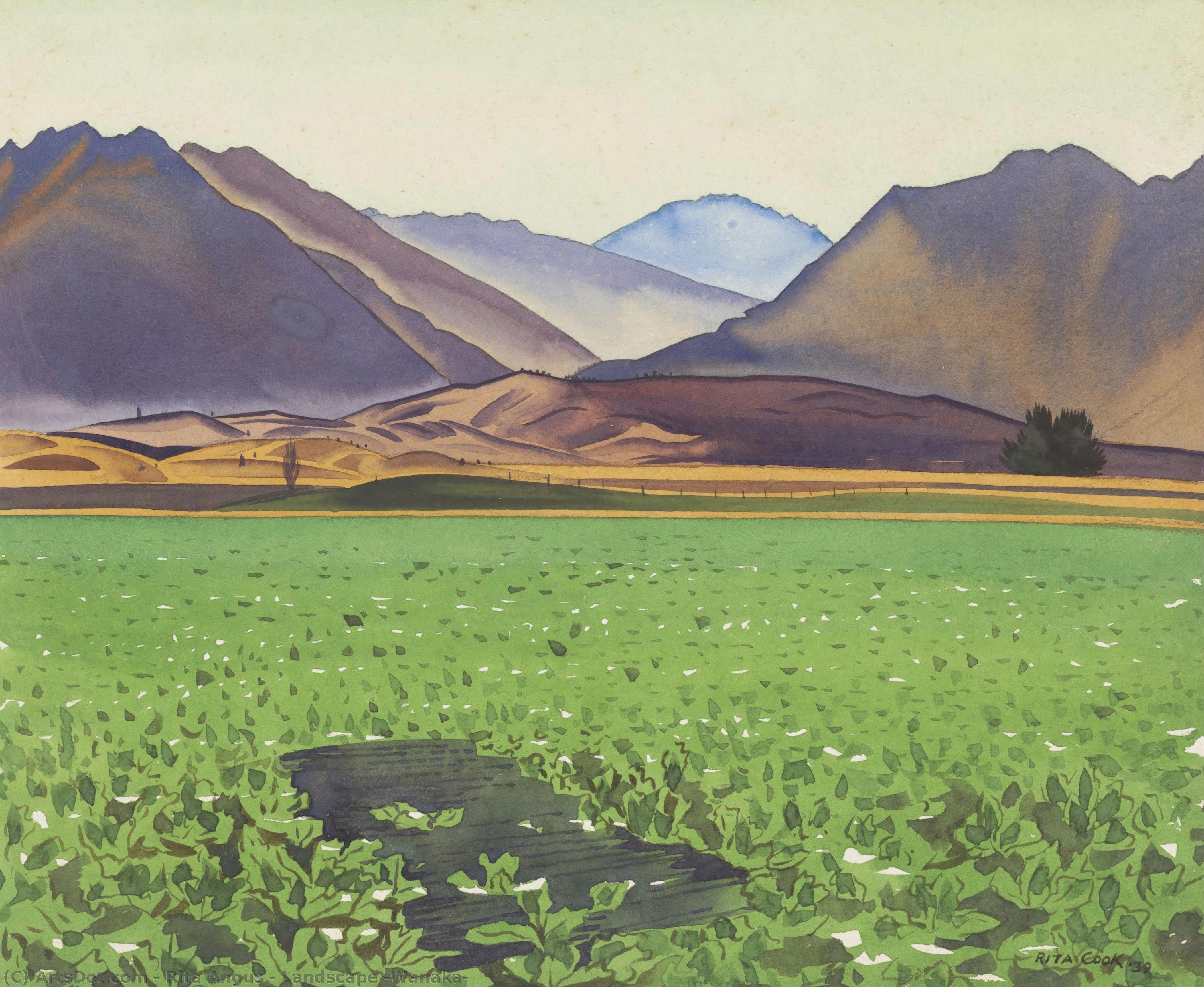 Landscape (wanaka) — Рита Анджус