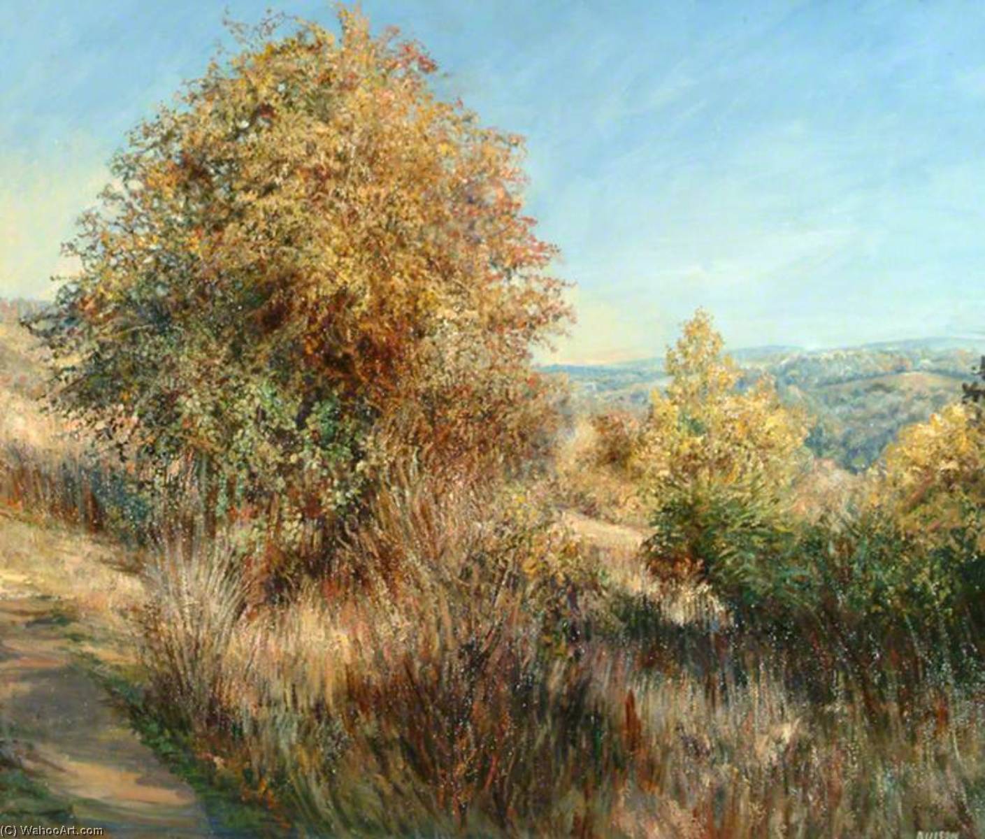 View From The Chantries With Hawthorn Tree — Jane Allison