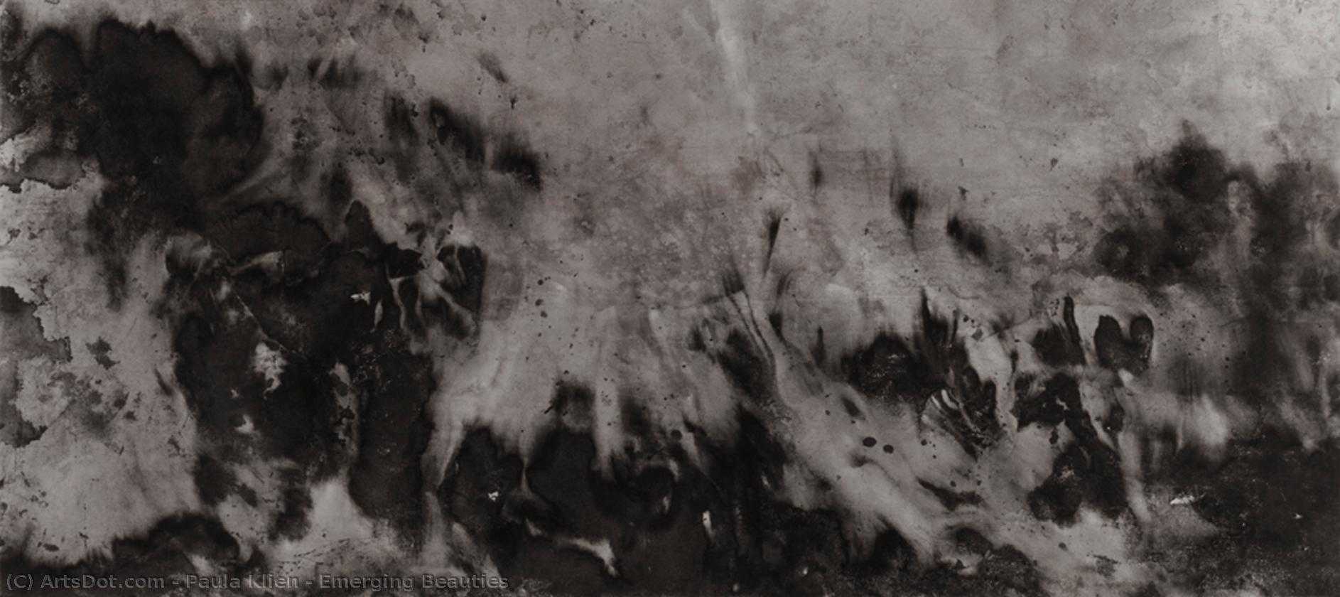 Emerging Beauties — Paula Klien