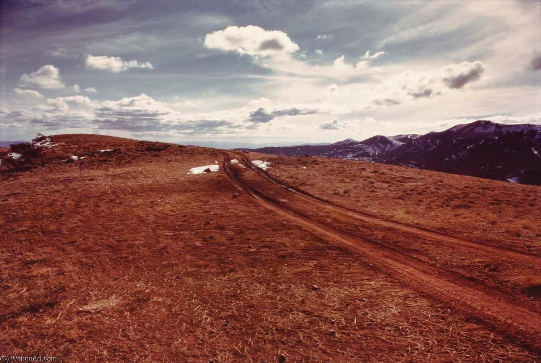 Bureau Of Land Management Representative, From The Wyoming Documentary Survey Project — Penny Diane Wolin