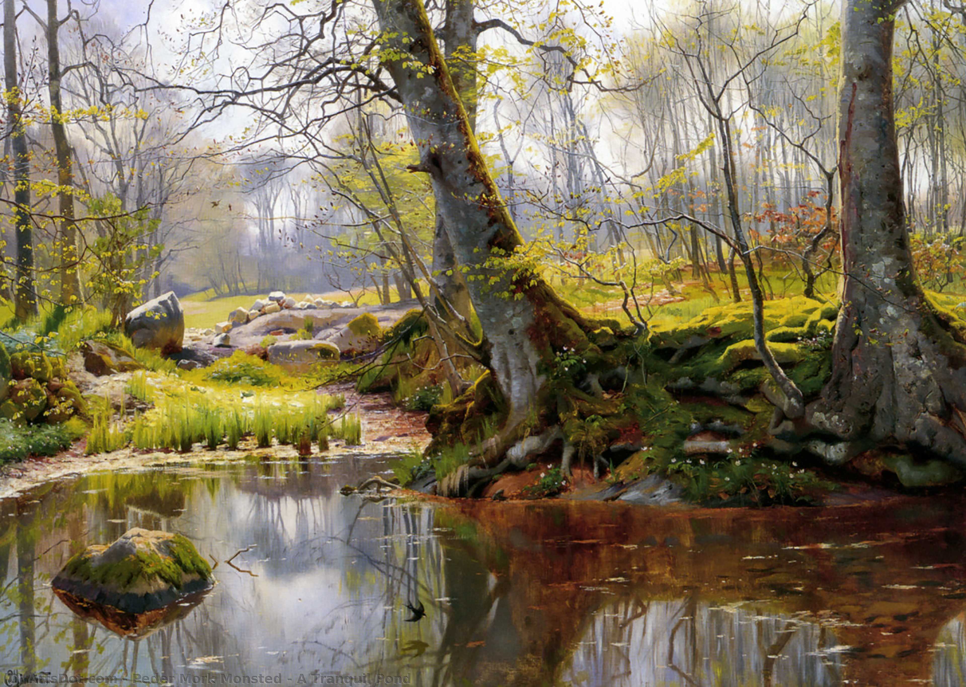 A Tranquil Pond — Педер Мёрг Монстед