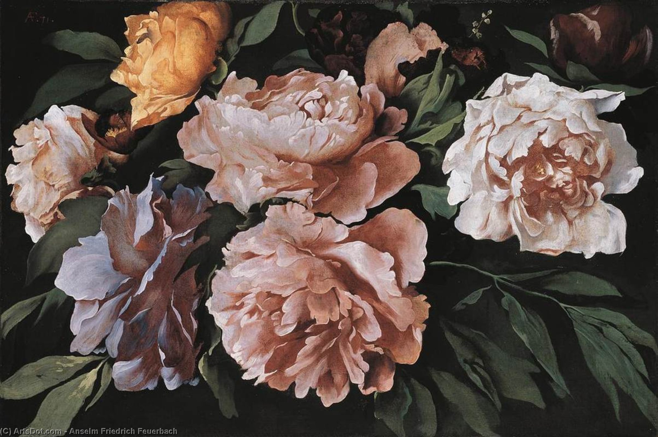 Peonies — Анзельм Фридрих Фейербах