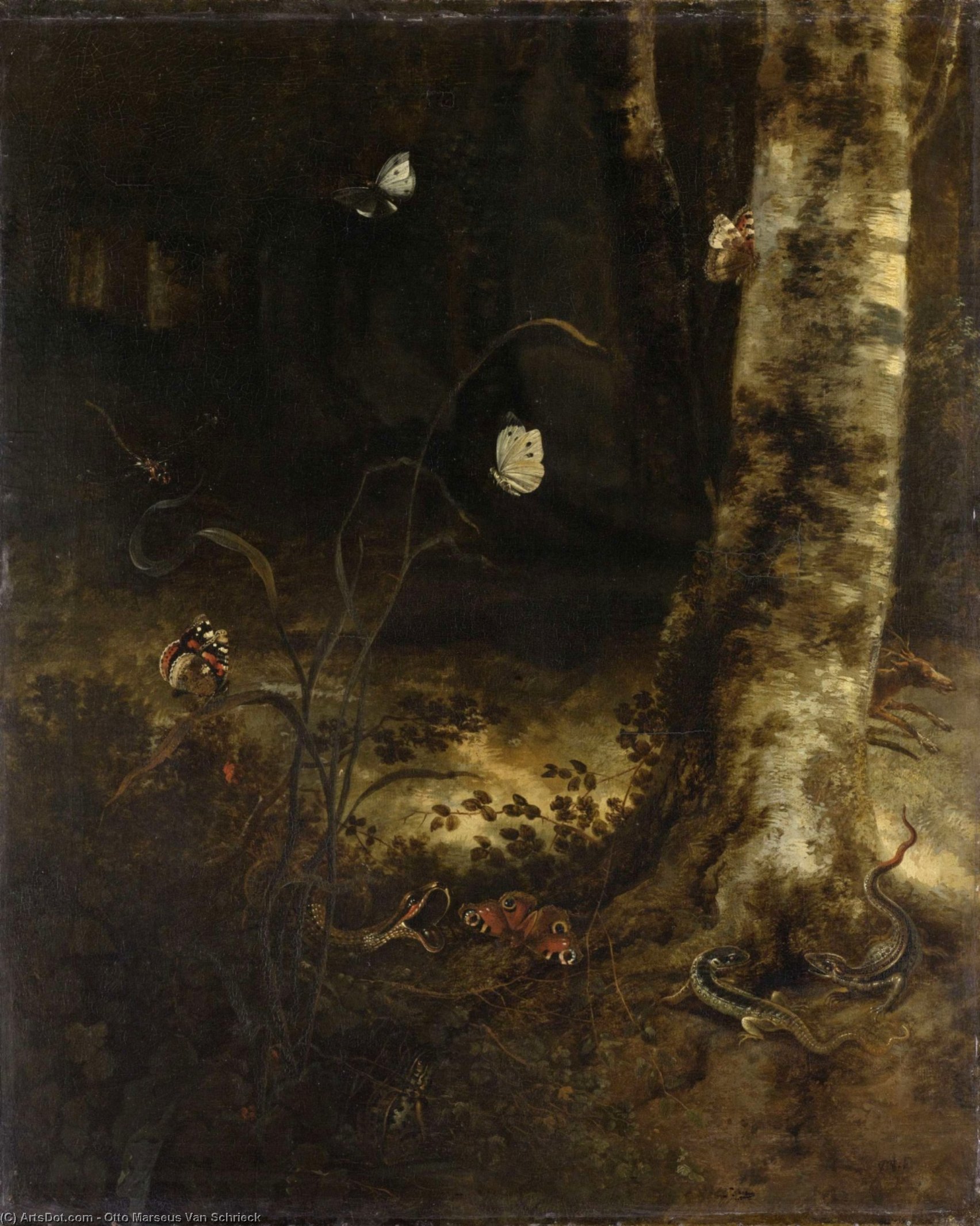 Forest Floor With A Snake, Lizards, Butterflies And Other Insects — Otto Marseus Van Schrieck