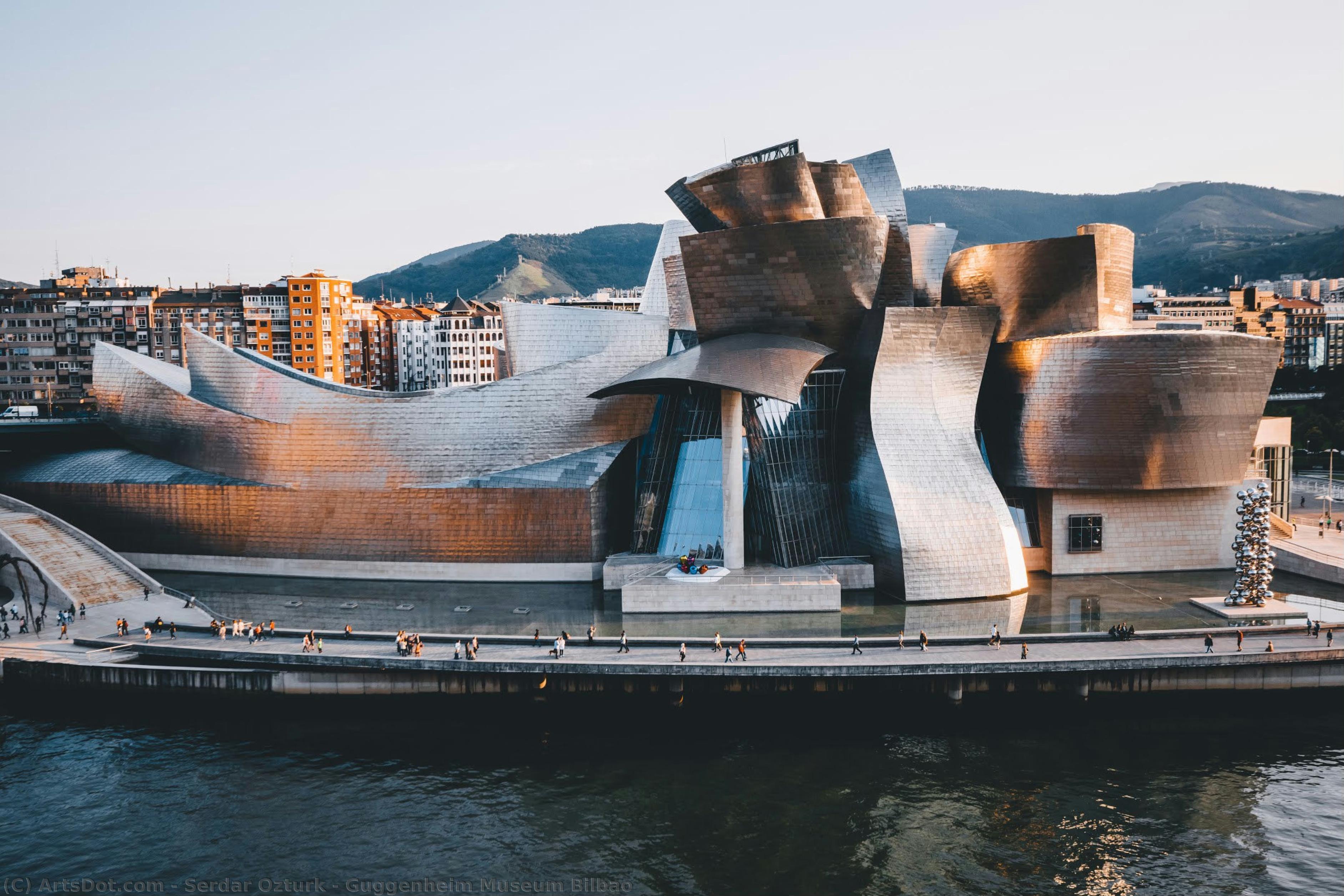 Guggenheim Museum Bilbao — Serdar Ozturk