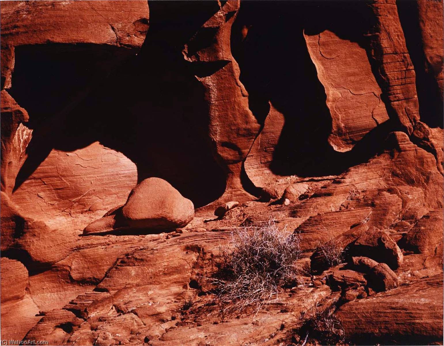 Red Shadowed Rock Wall (valley Of Fire, Nevada) — David T Culverwell
