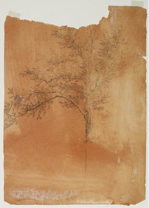 Tree7 — Томас Коул