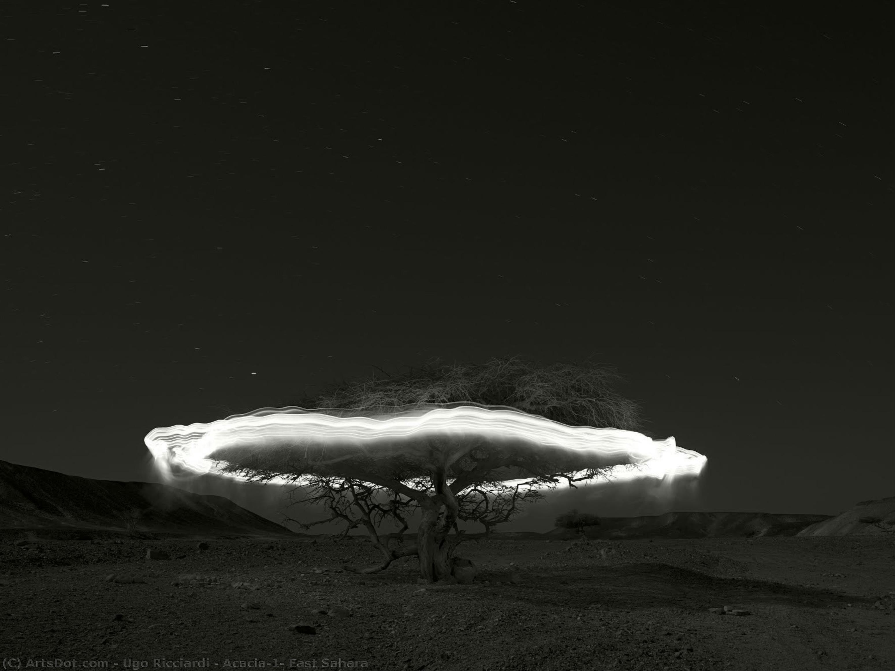 Acacia#1, East Sahara — Ugo Ricciardi