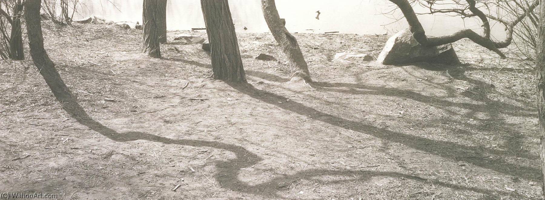 Untitled — Lois Conner