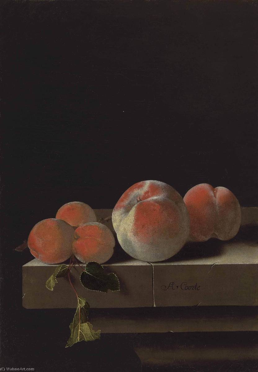English Peaches And Apricots On A Stone Ledge Nederlands Perziken En Abrikozen Op Een Stenen Richel — Nach Adriaen Coorte