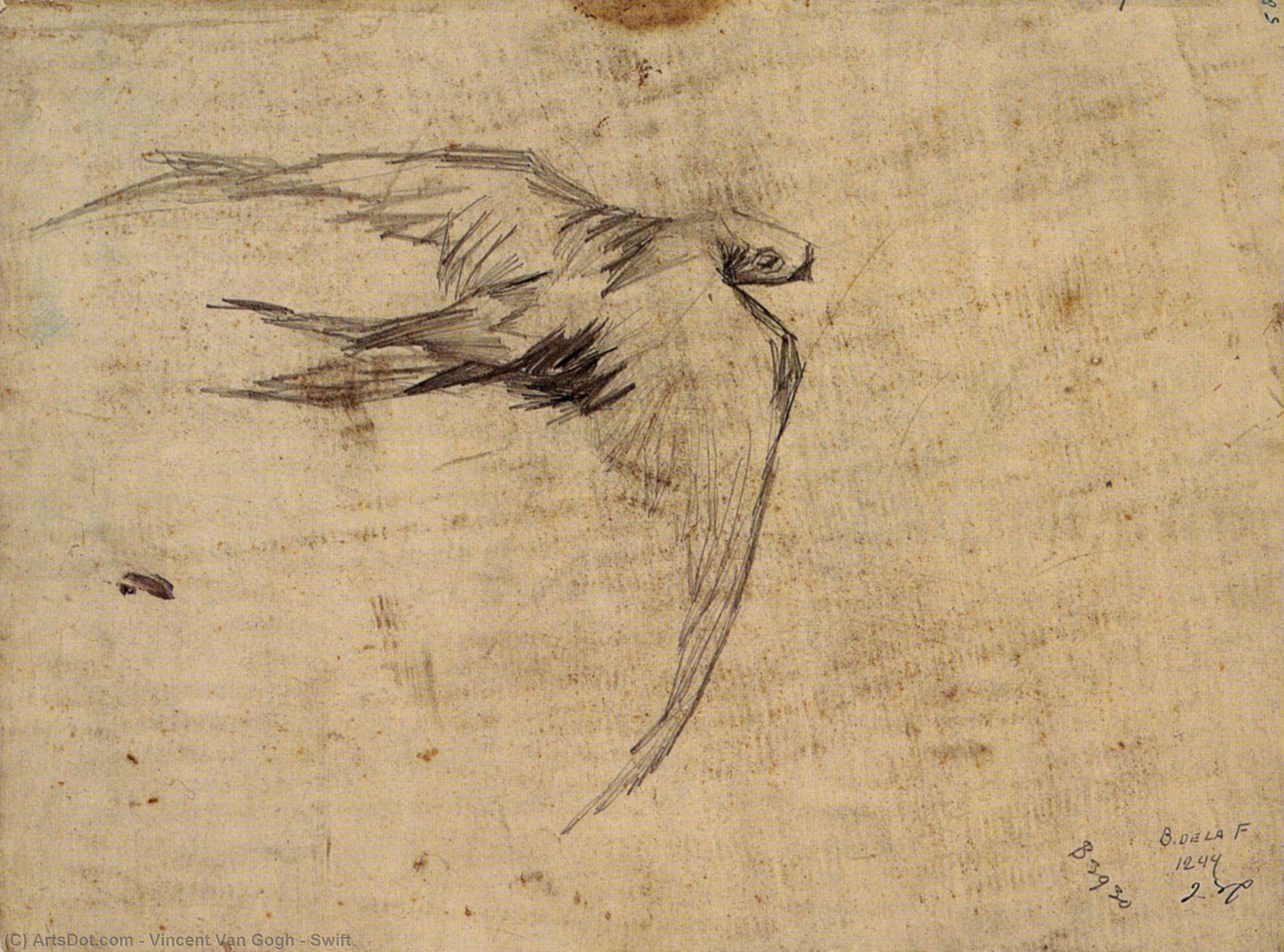 Swift — Vincent Willem Van Gogh