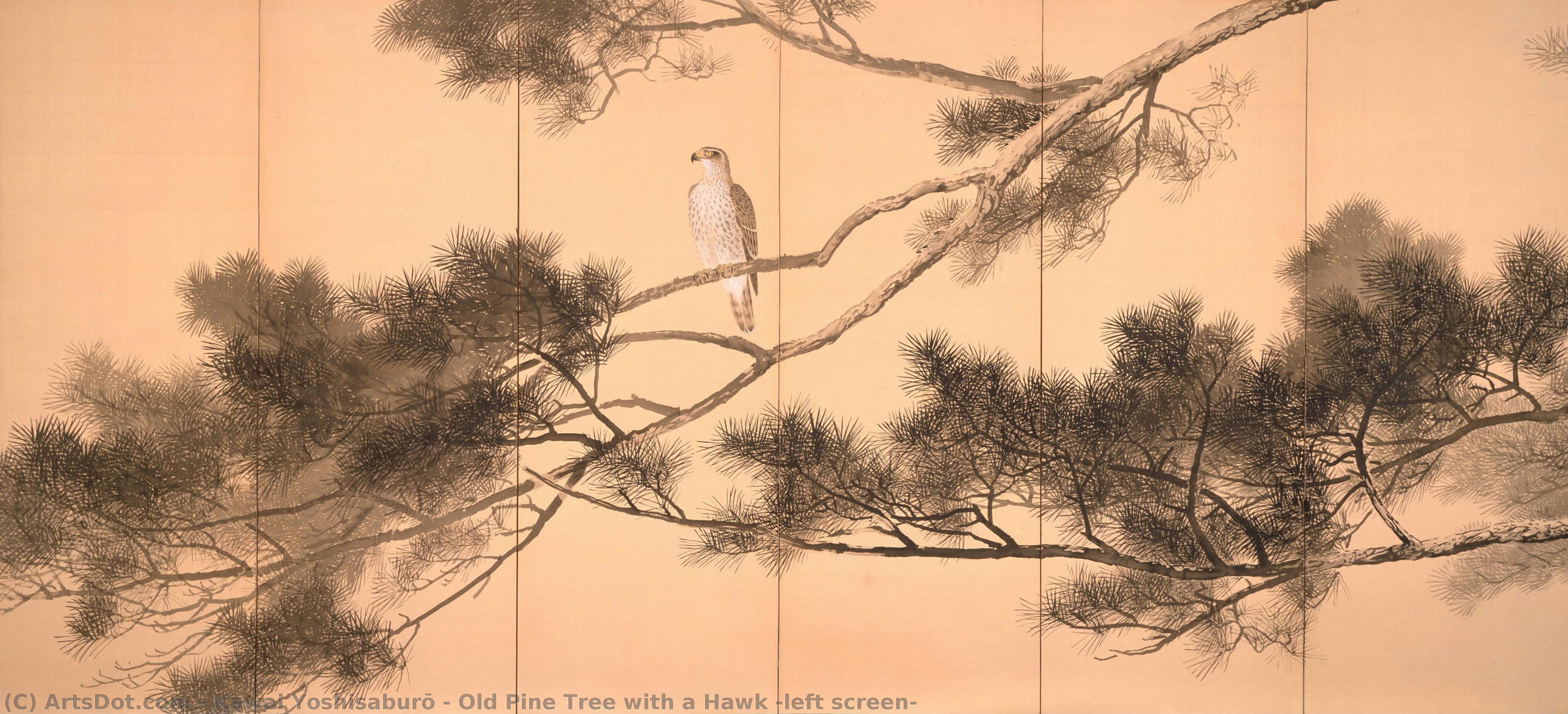 Old Pine Tree With A Hawk (left Screen) — Kawai Gyokudō