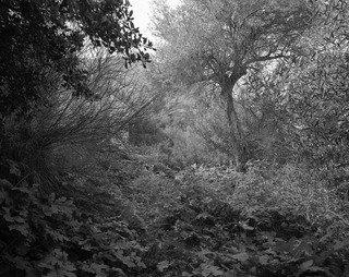 The Abbey Of Thelema 1 (from The Series Morning Of The Magicians) — Joachim Koester
