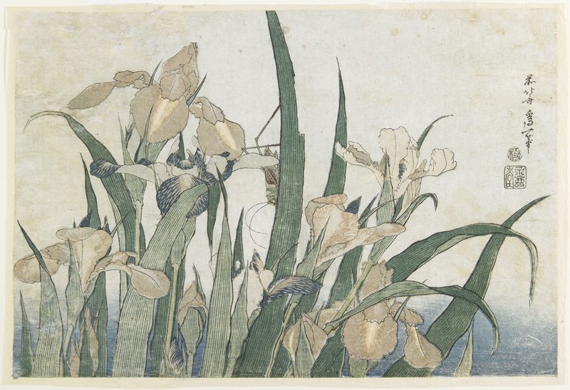 Iris Flowers And Grasshopper — Katsushika Hokusai
