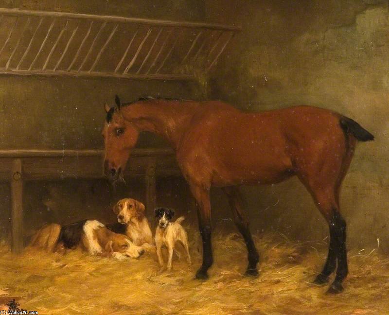 Little Bay Mare With Docked Tail Eating Hay With Three Dogs At Her Feet — Thomas Blinks