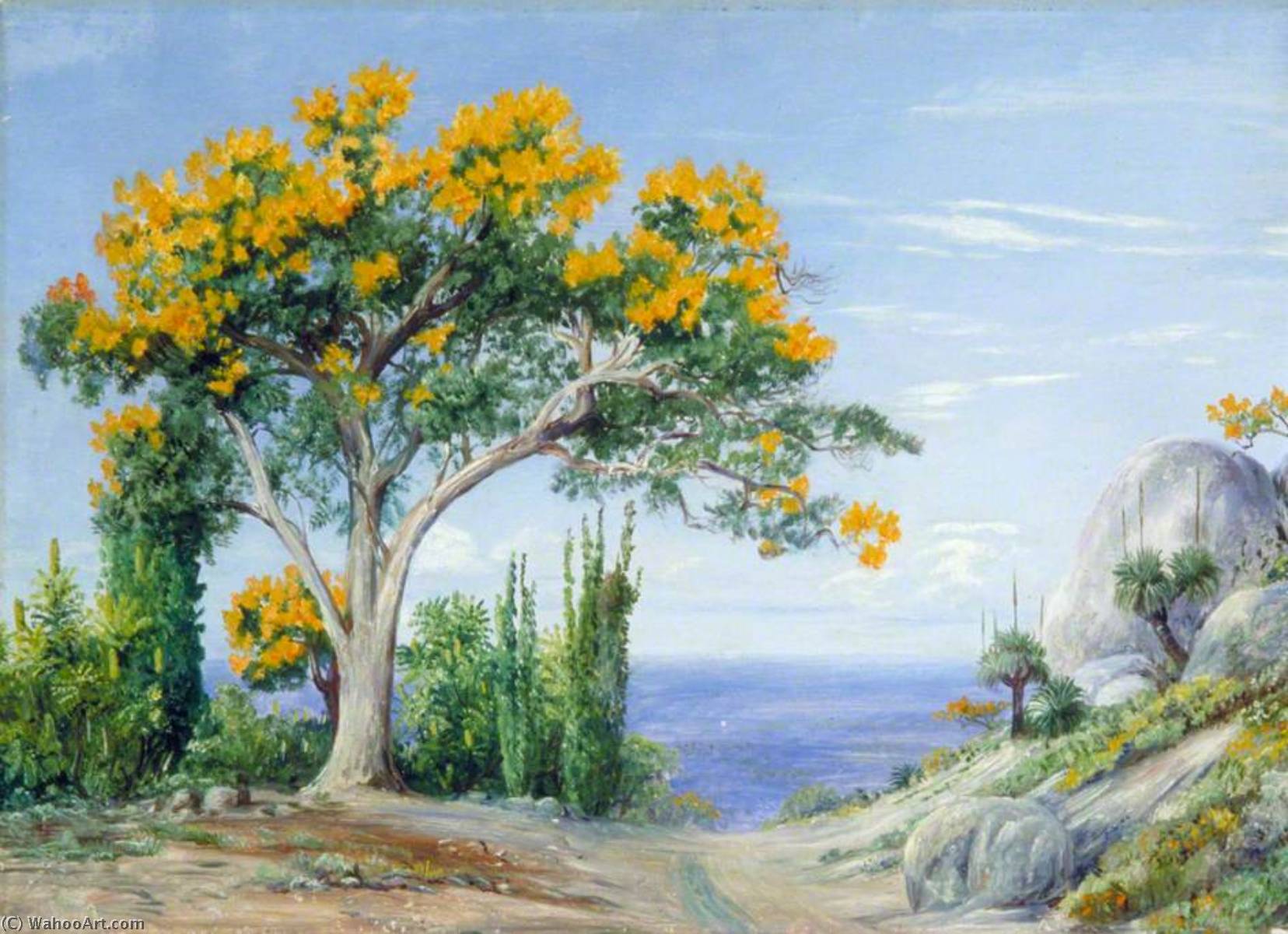 Study Of The West Australian Flame Tree Or Fire Tree — Marianne North