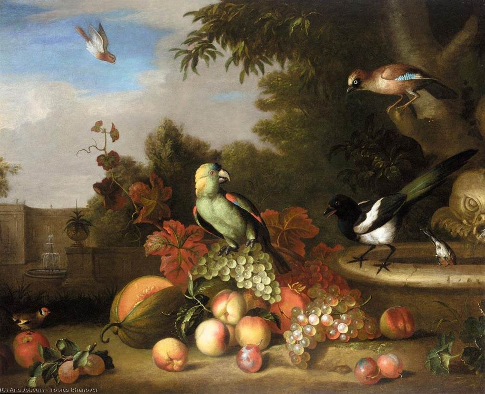 Still-life Of Fruit And Birds — Tobias Stranover