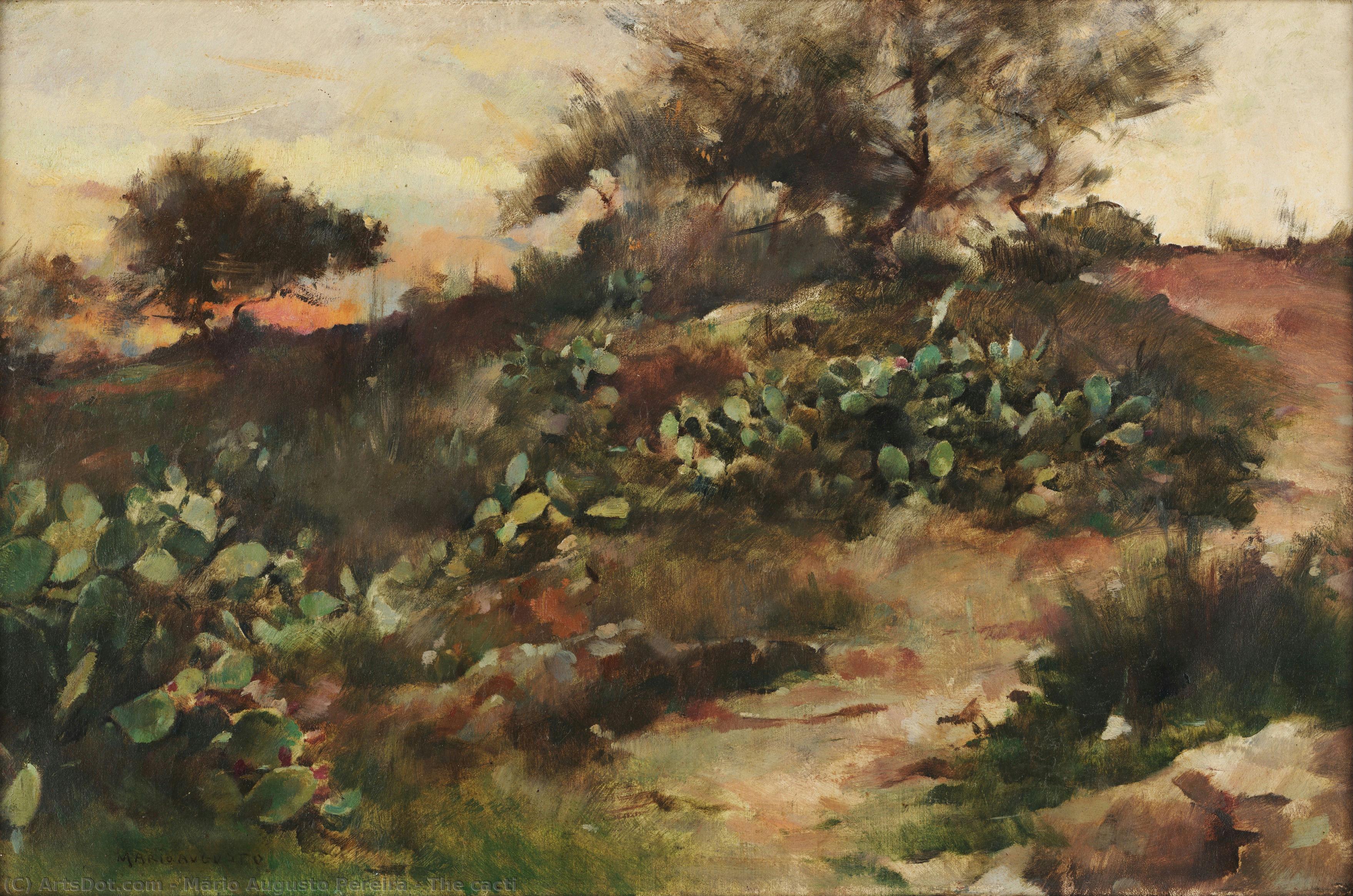 The Cacti — Mário Augusto Pereira