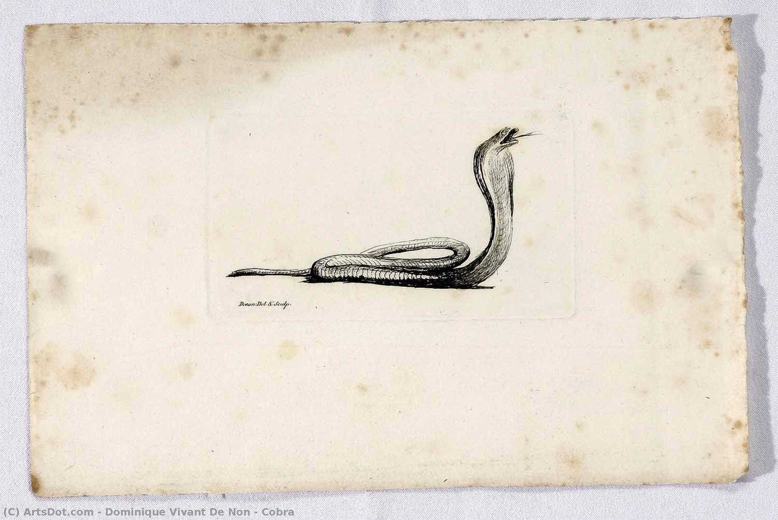 Cobra — Dominique Vivant De Non
