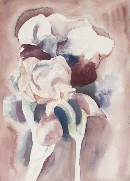 Irises — Charles Demuth