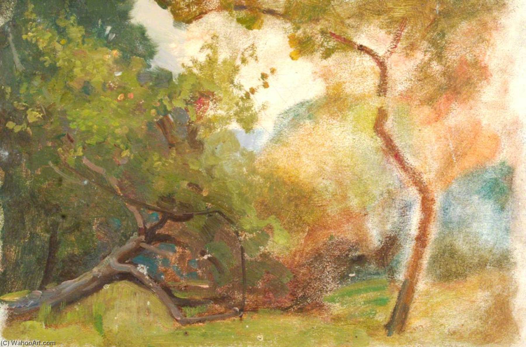 Woodland Glade — Benjamin Haughton