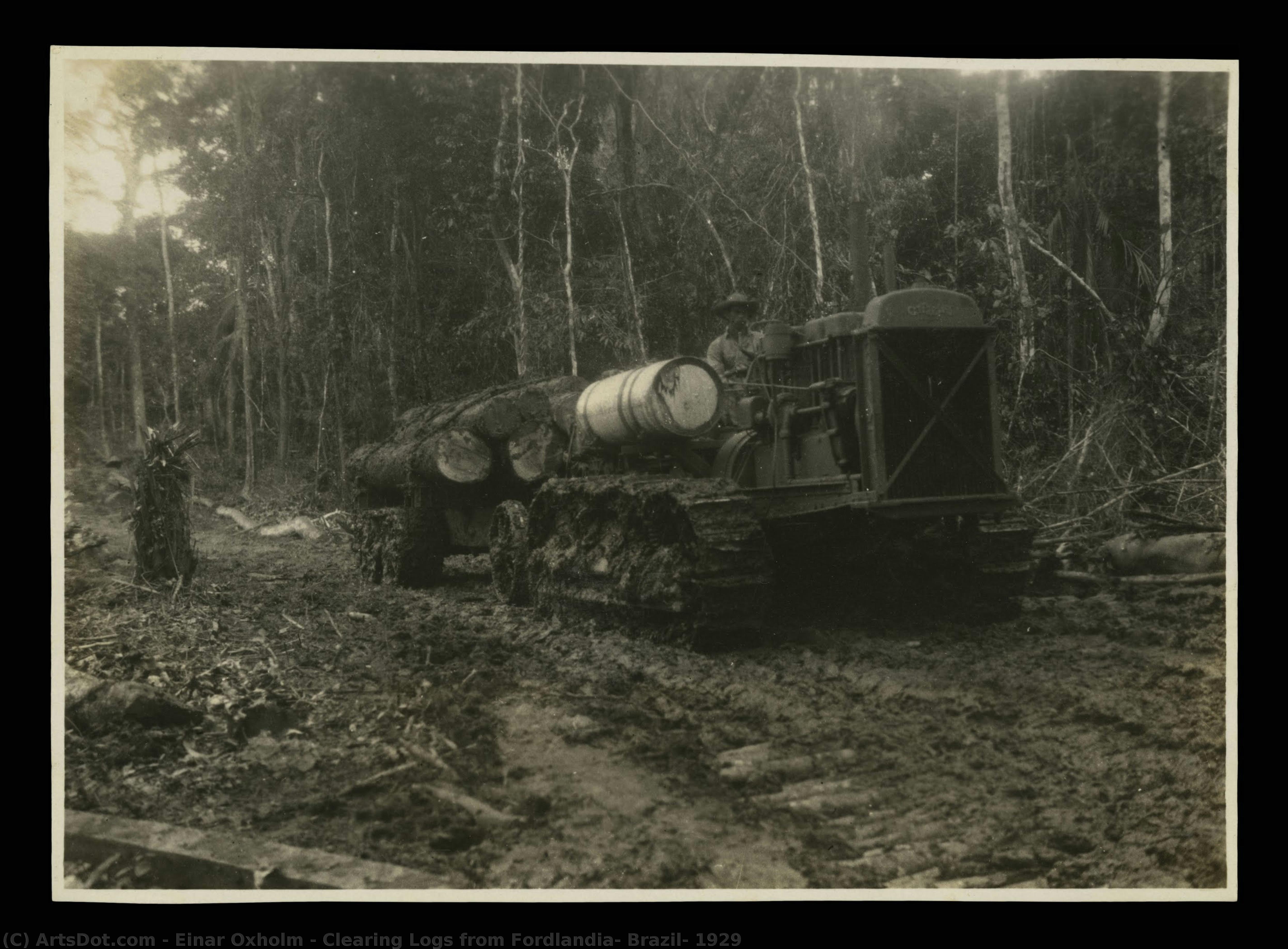 Clearing Logs From Fordlandia, Brazil, 1929 — Einar Oxholm