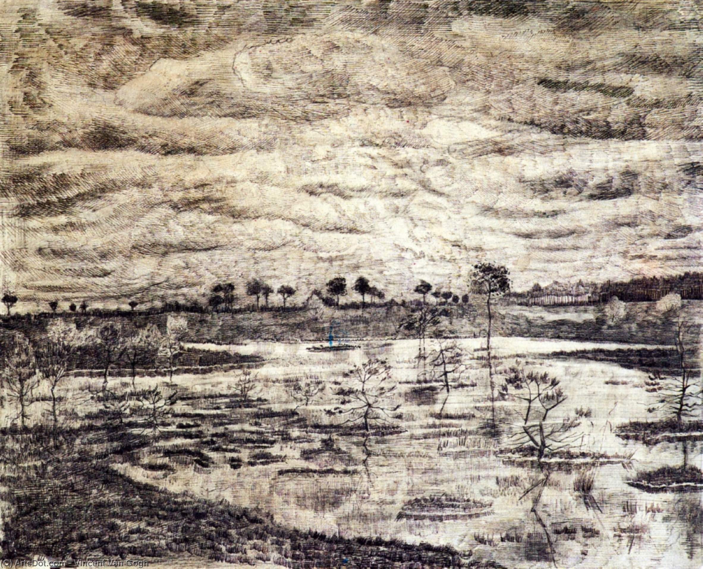 A Marsh — Vincent Willem Van Gogh