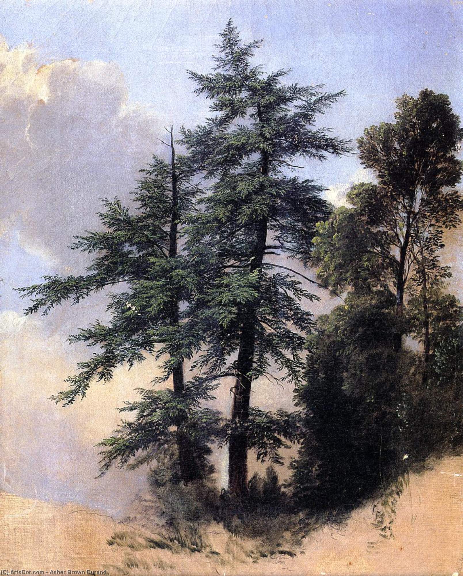 Nature Study, Trees, Newburth, N.y. — Asher Brown Durand