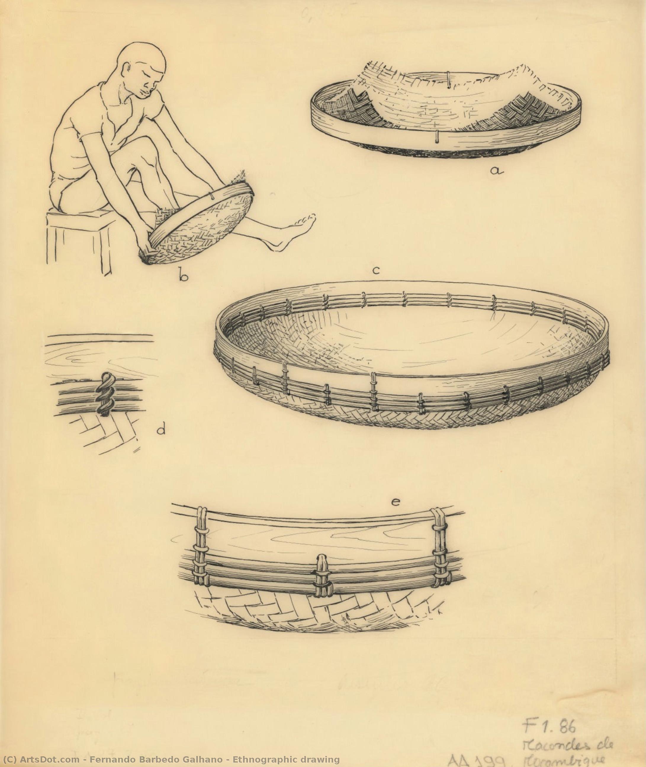 Ethnographic Drawing — Фернанду Барбеду Гальяну