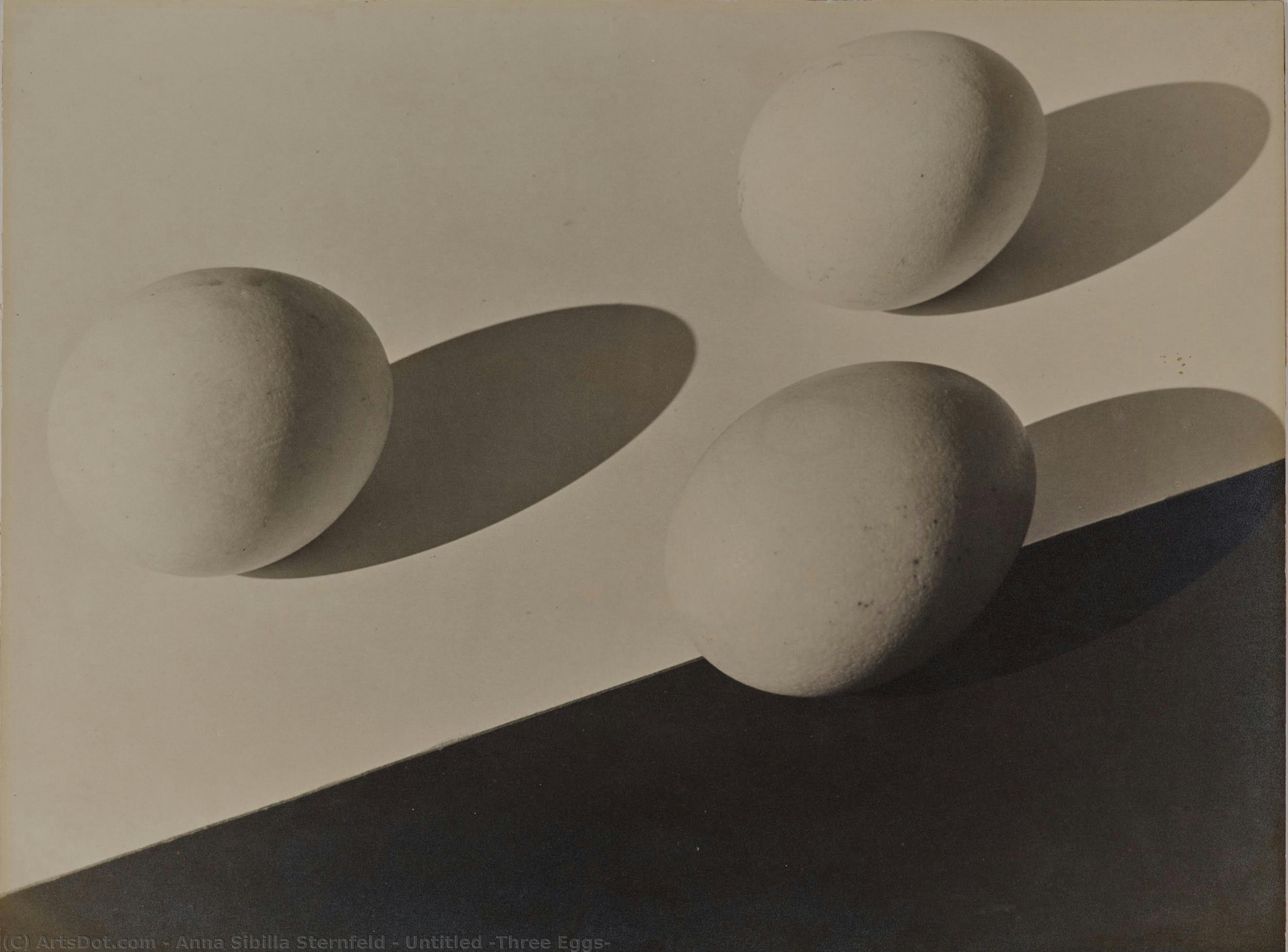 Untitled (three Eggs) — Anna Sibilla Sternfeld