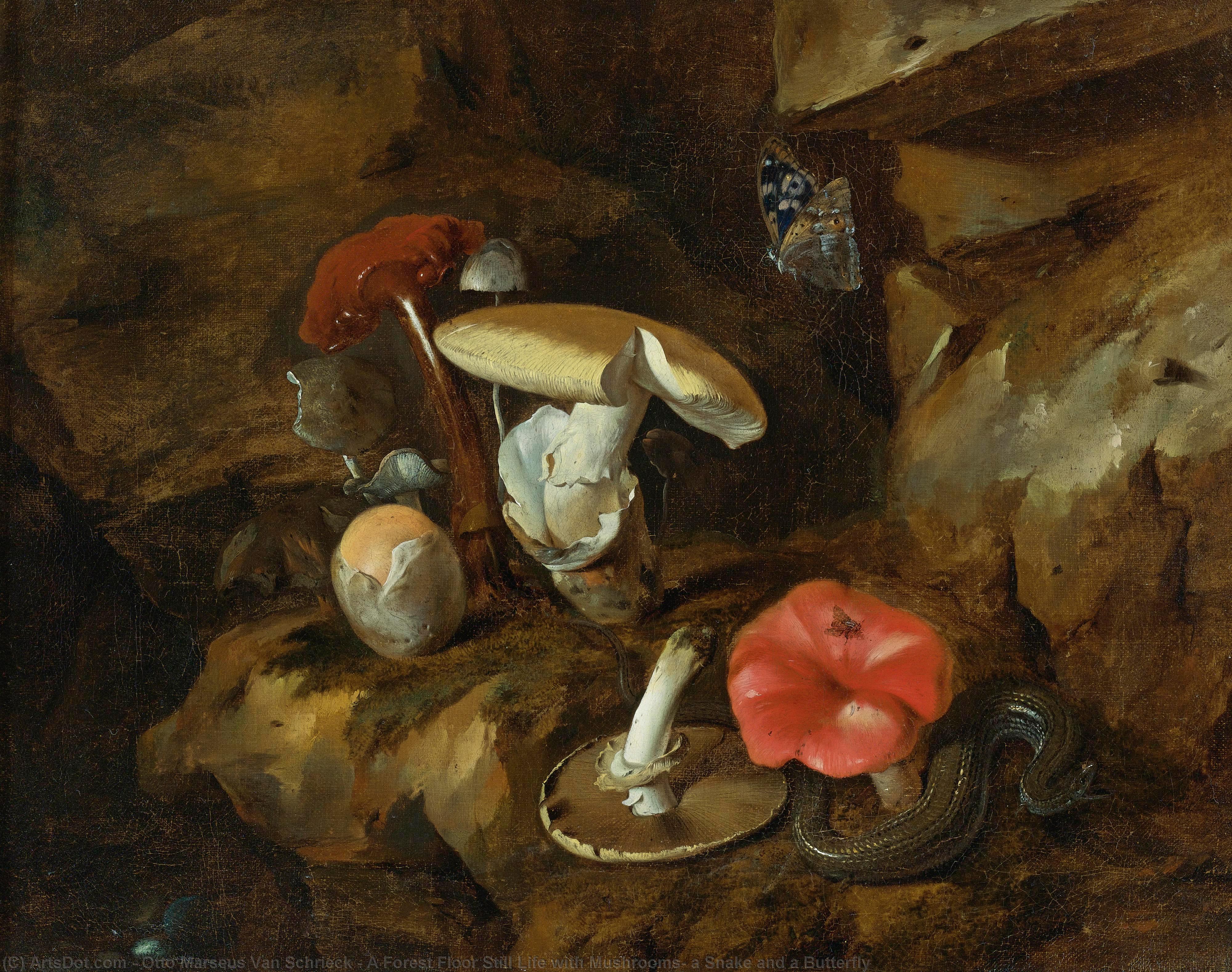 A Forest Floor Still Life With Mushrooms, A Snake And A Butterfly — Otto Marseus Van Schrieck