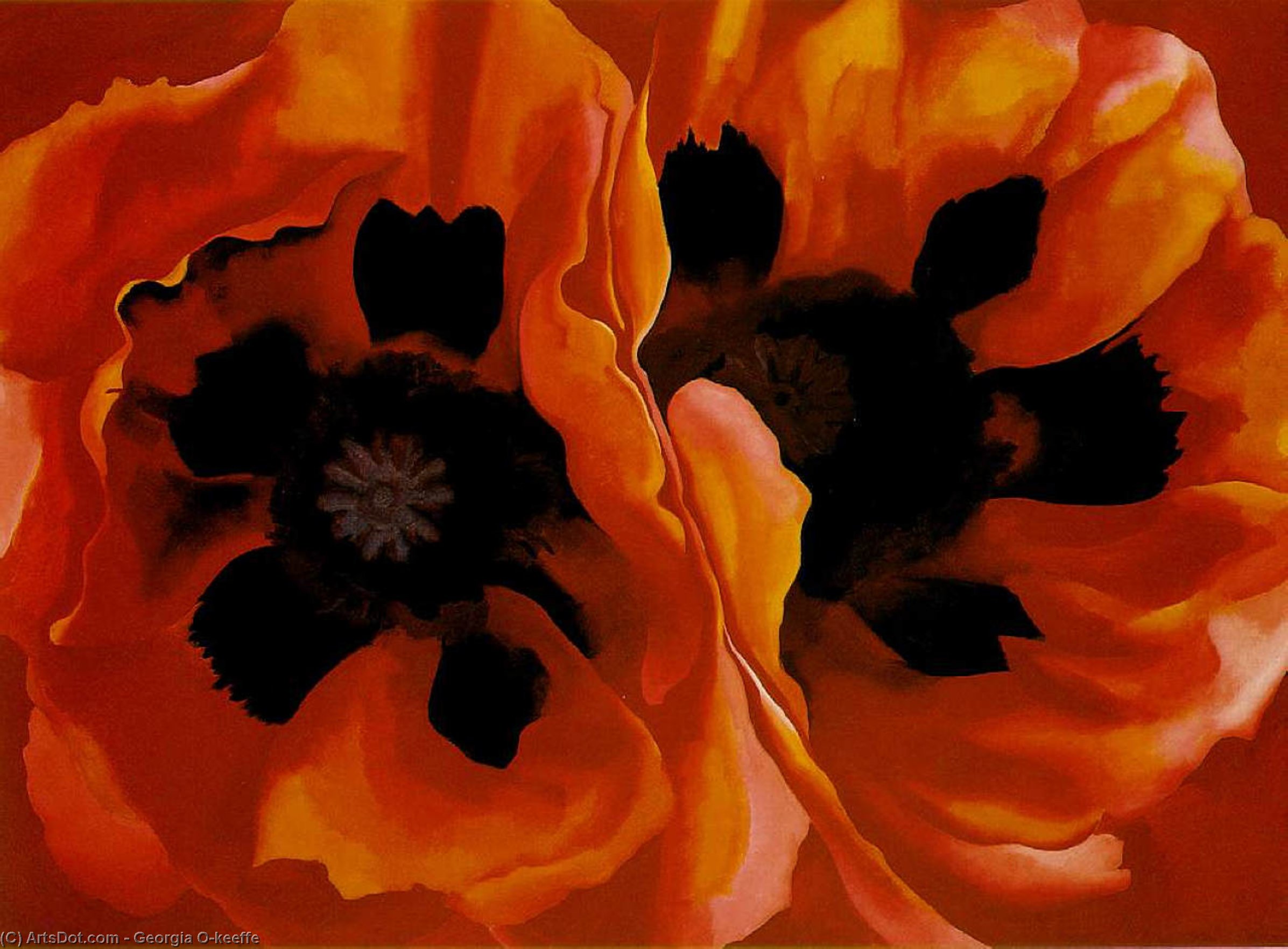 Oriental Poppies — Georgia O'keeffe