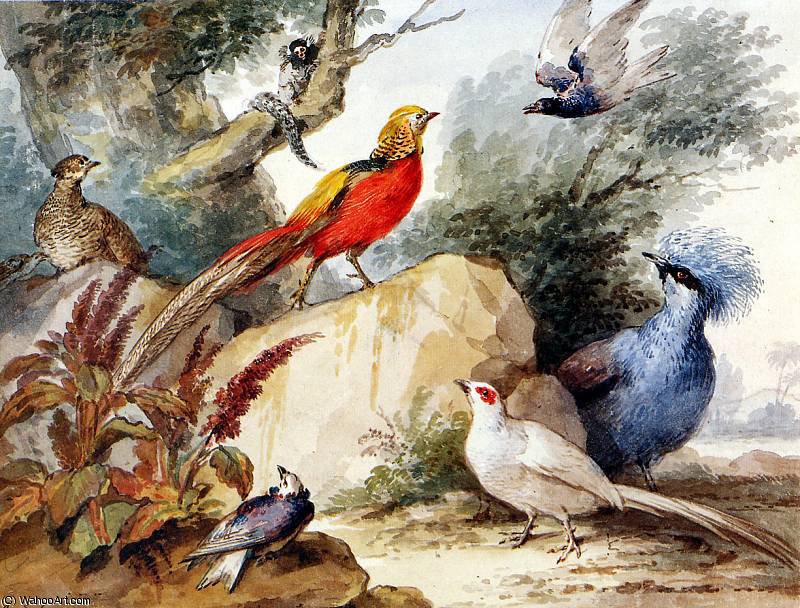 Birds In Landscape Sun — Aert Schouman