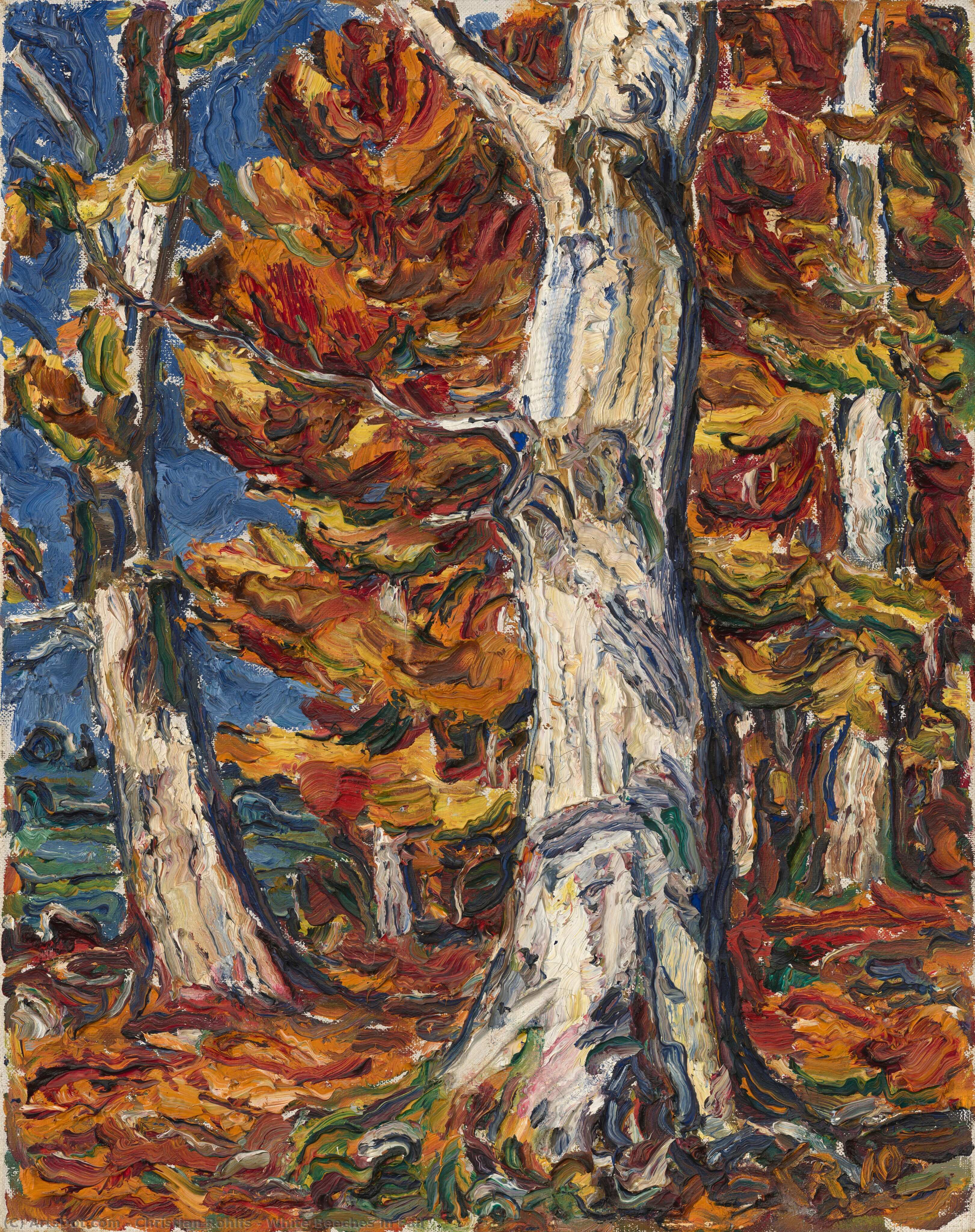 White Beeches In Fall — Christian Rohlfs