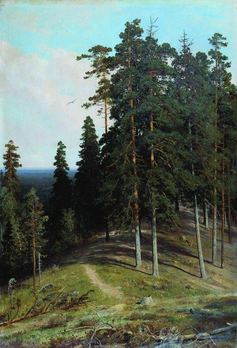 Forest From The Mountain — Ivan Ivanovich Shishkin