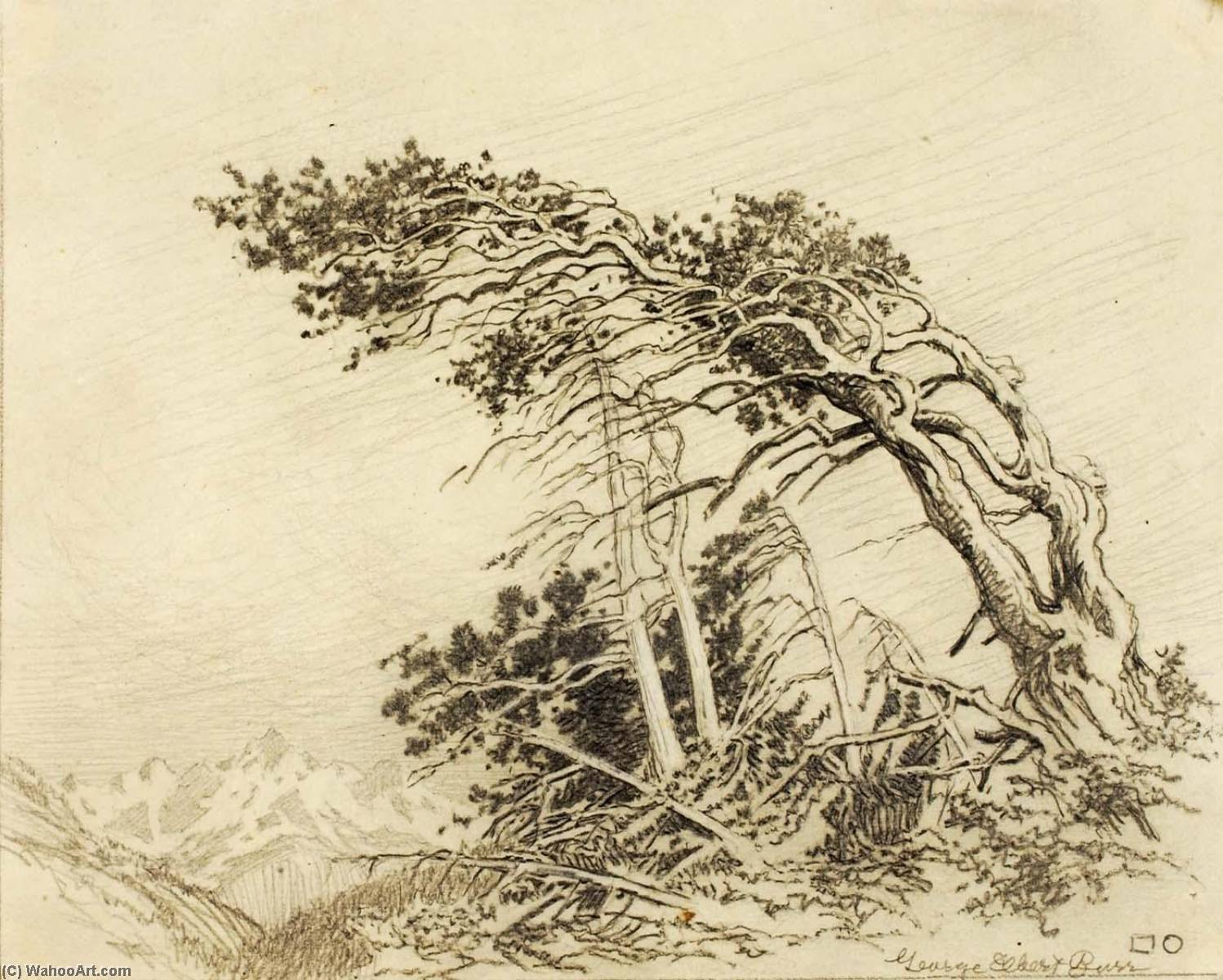 Untitled (transfer Drawing For The Home Of The Winds ) — George Elbert Burr