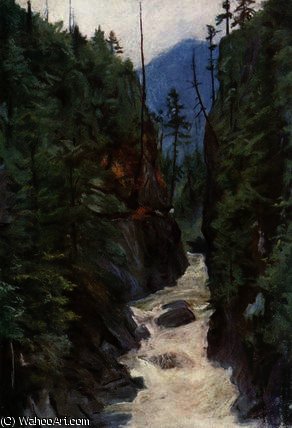 Capilano Canyon — Хэролд Коппинг