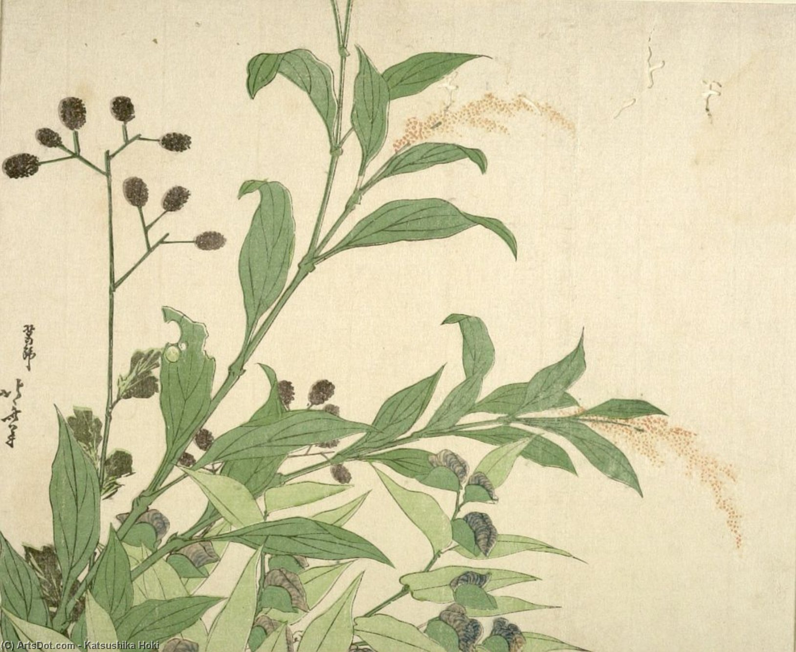 Autumn Leaves, Edo Period, — Katsushika Hokusai