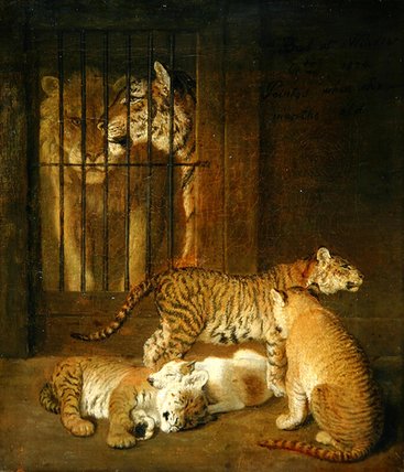 Group Of Whelps Bred Between A Lion And A Tigress, — Jacques Laurent Agasse