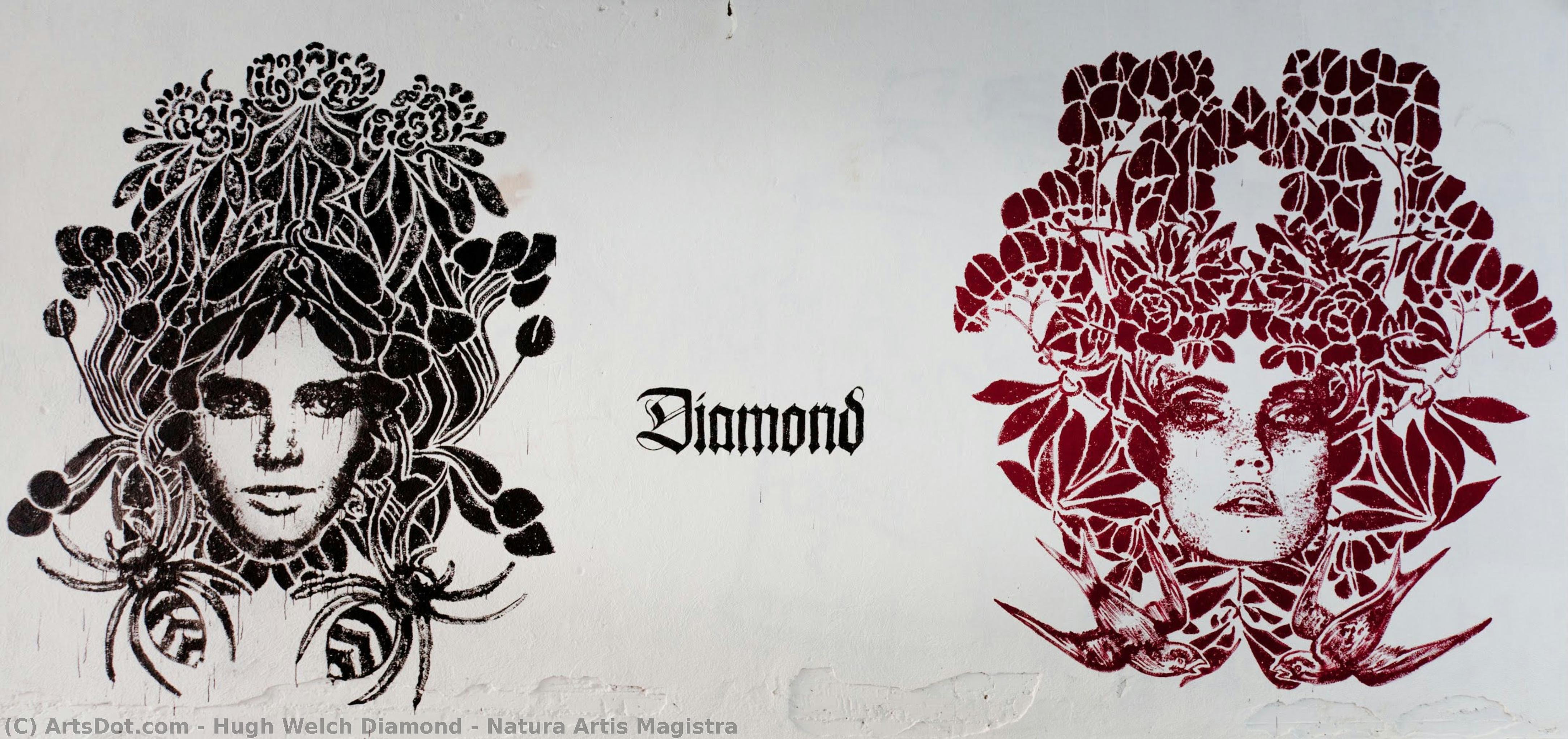 Natura Artis Magistra — Hugh Welch Diamond