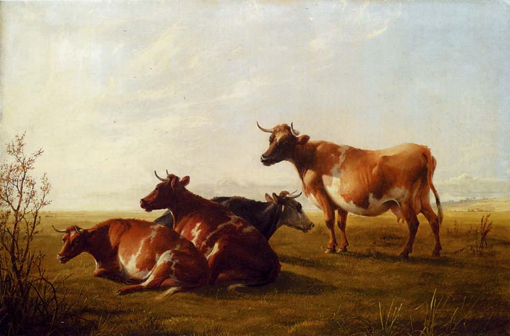 Cows In A Meadow 1 — Tomas Sidni Kuper