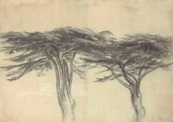 Study Of Two Cedars Of Lebanon — James Ward