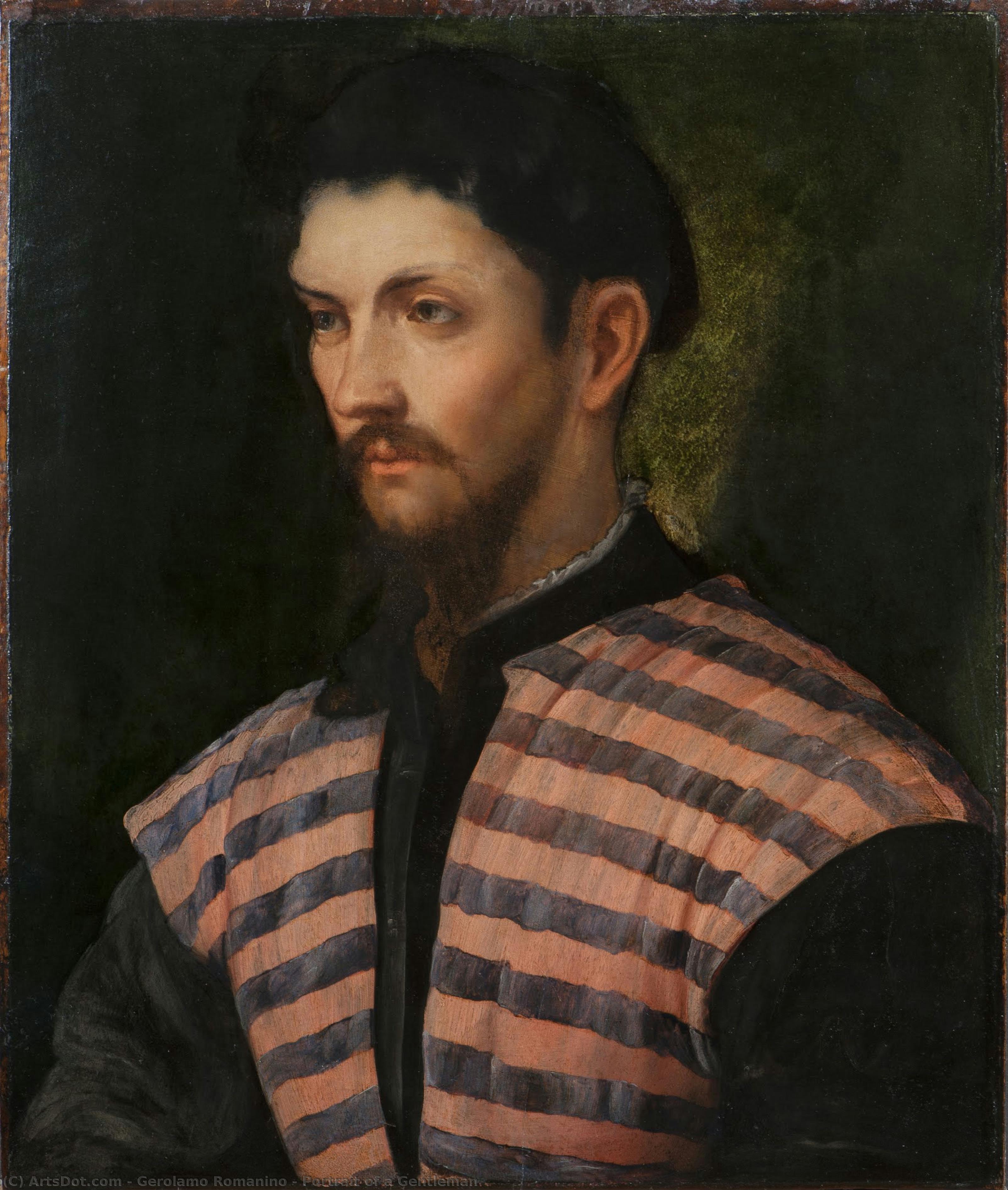 Portrait Of A Gentleman — Gerolamo Romanino