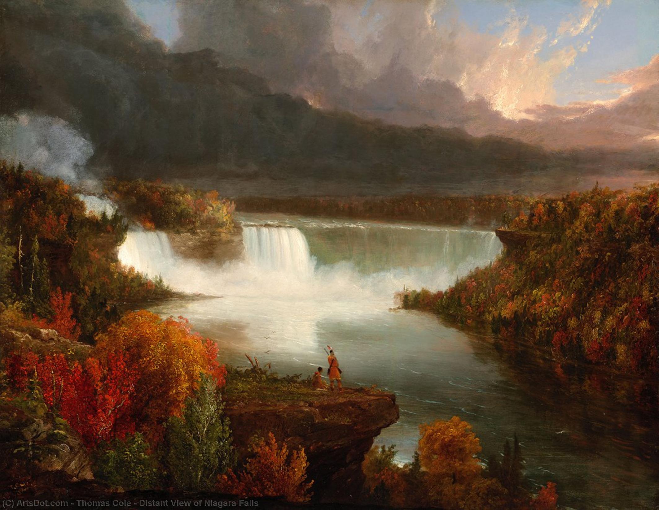 Distant View Of Niagara Falls — Томас Коул