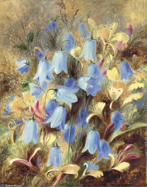 Blauglöckchen — Albrecht Dürer