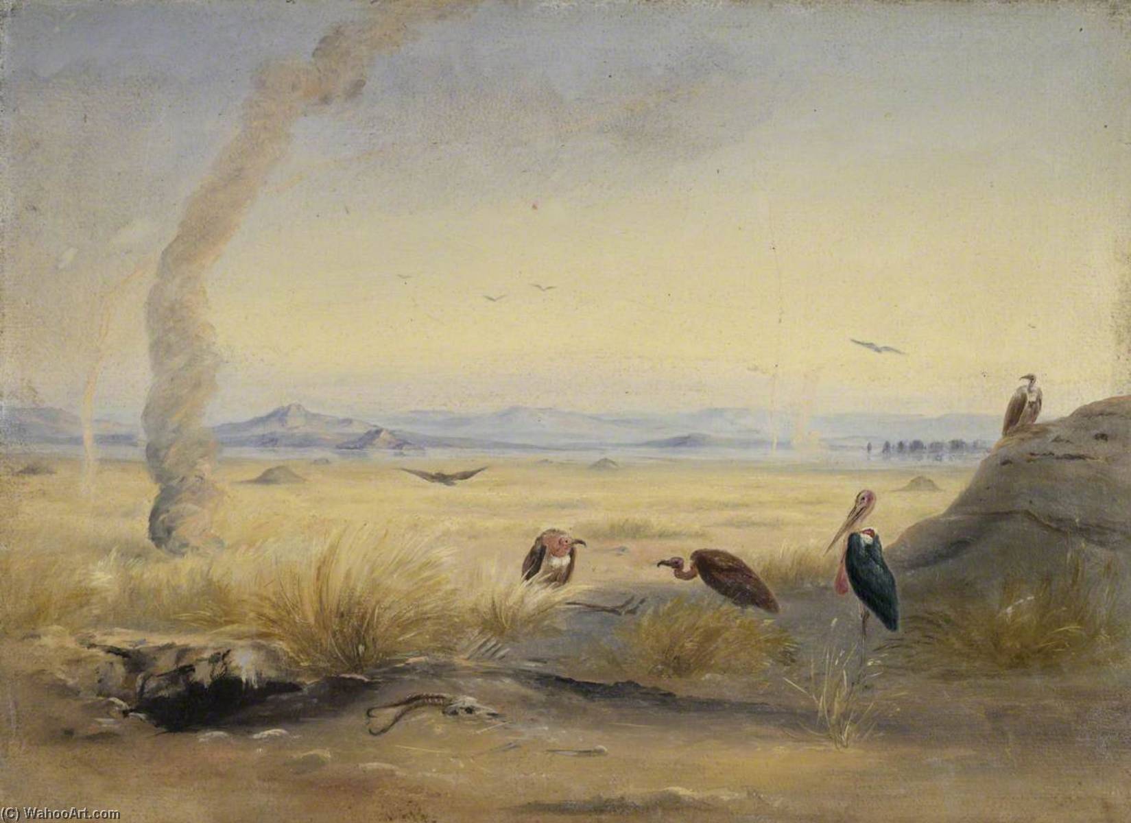 Barren Landscape With Vultures And Adjutant Bird Beside A Carcass — Johann Martin Bernatz