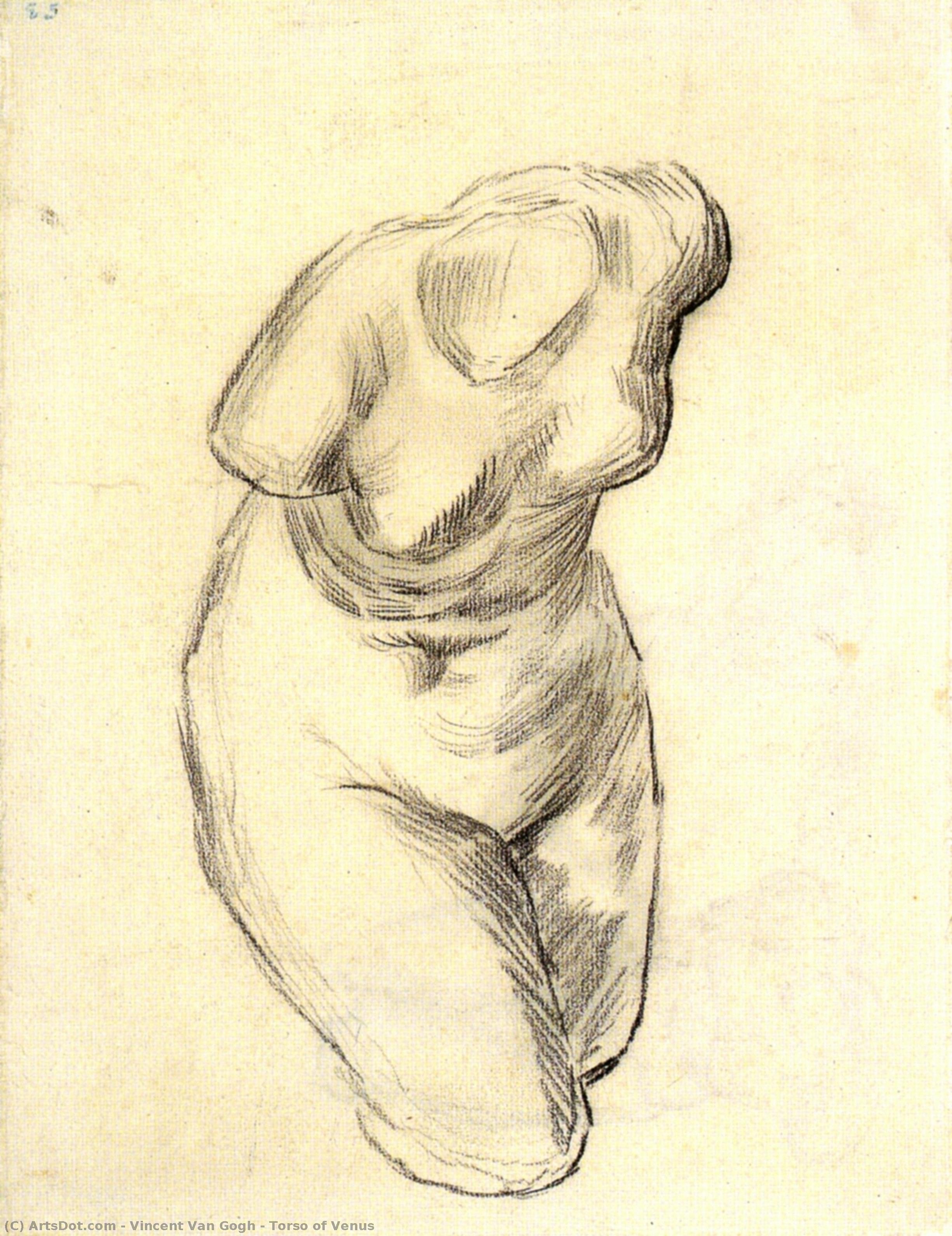 Torso Of Venus — Vincent Willem Van Gogh