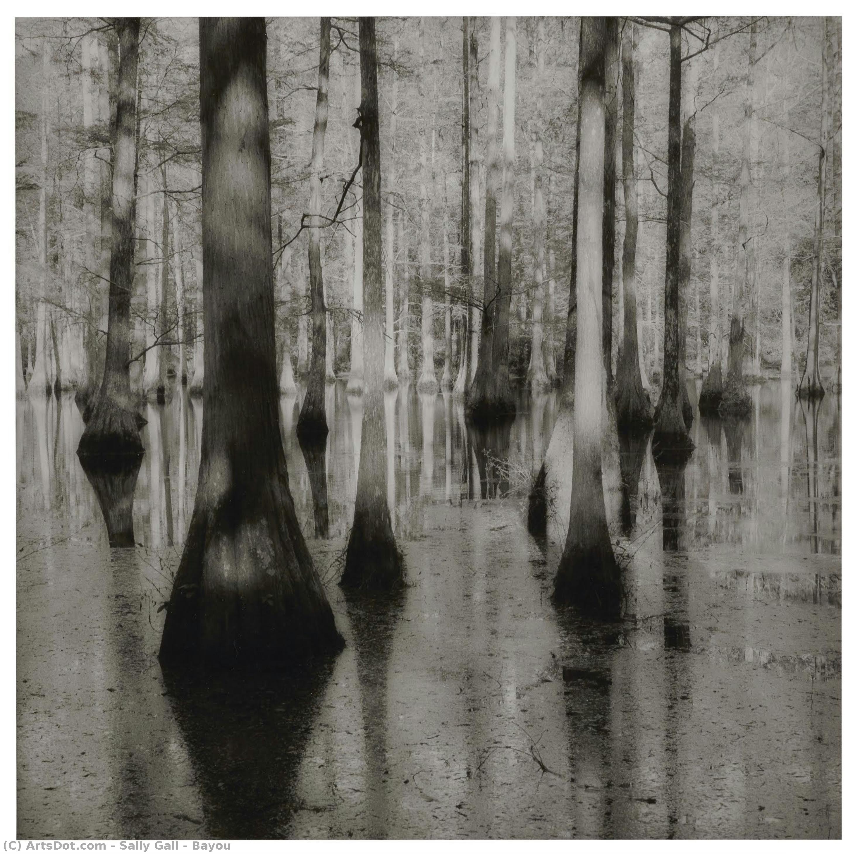Bayou — Sally Gall
