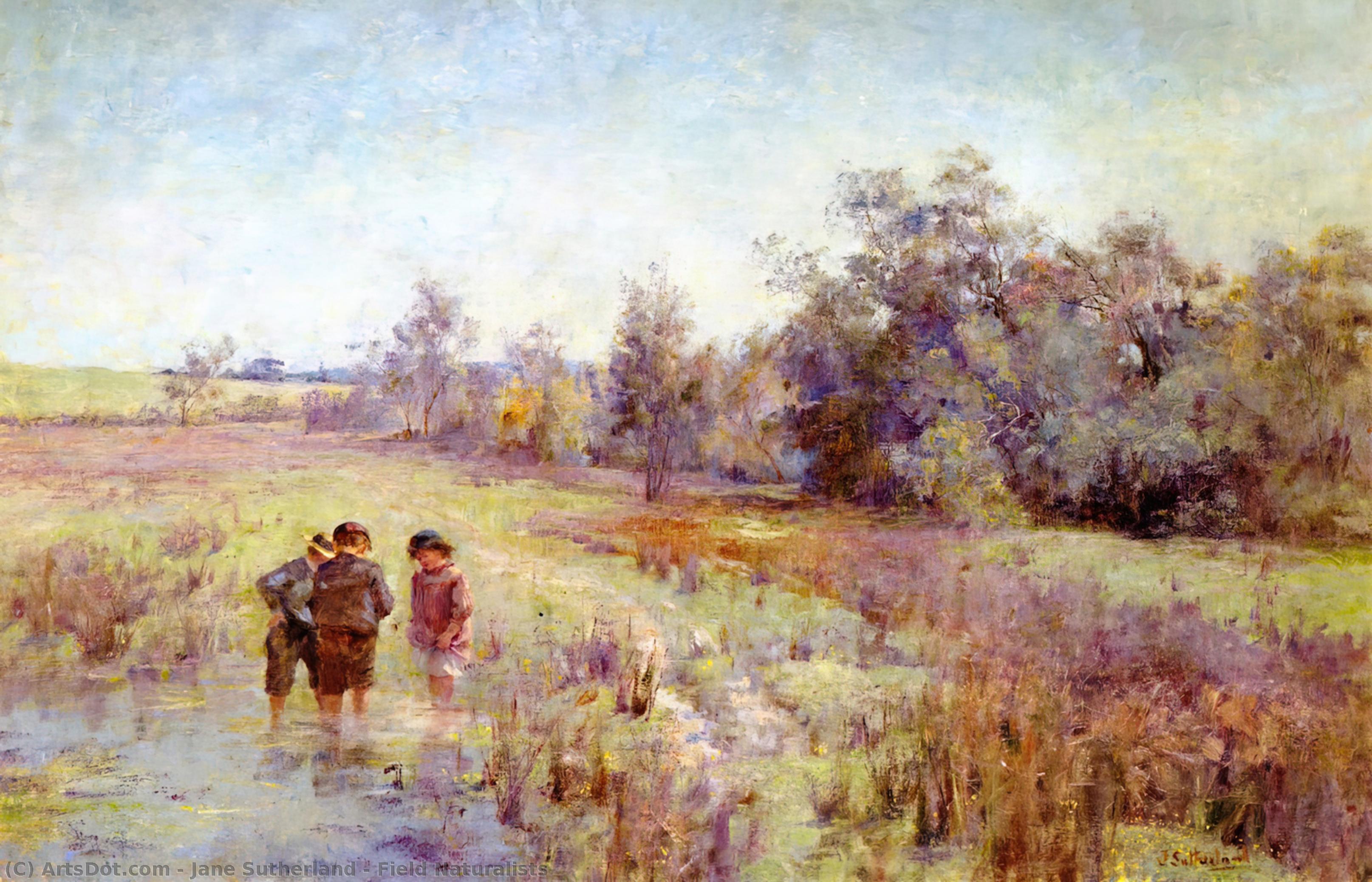 Field Naturalists — Джейн Сазерленд