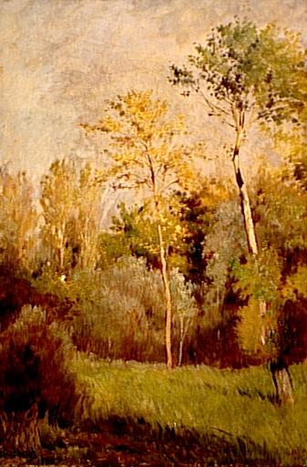 Forêt Au Printemps — Lothar Von Seebach