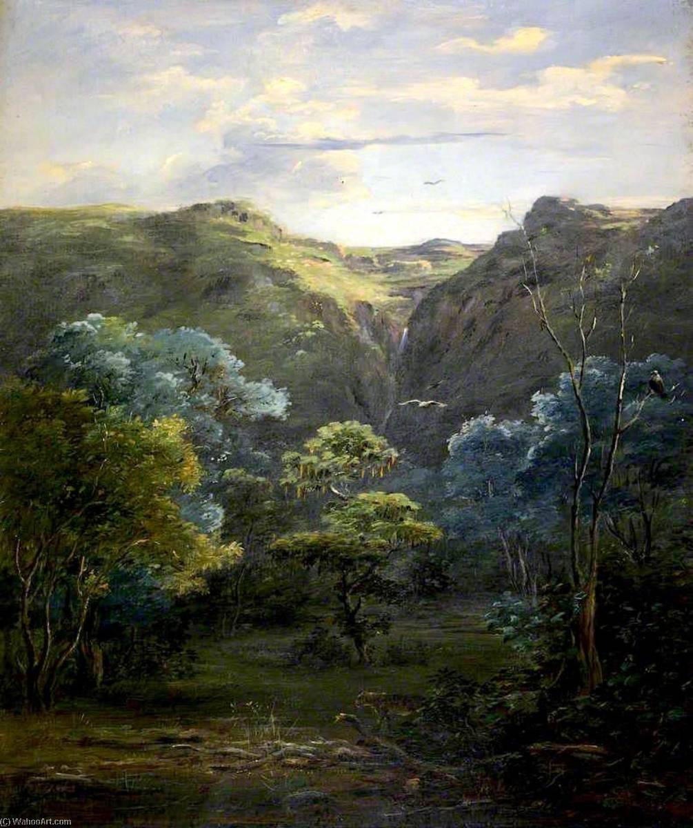 Forest Scene Near Ankobar — Johann Martin Bernatz